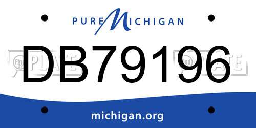 DB79196 Michigan License Plate