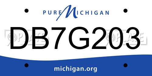 DB7G203 Michigan License Plate