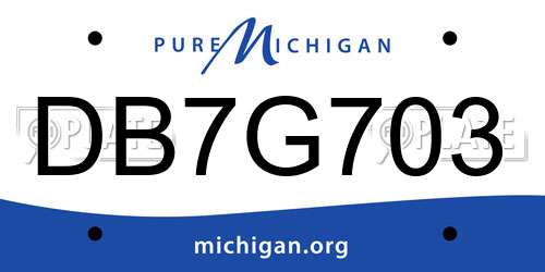 DB7G703 Michigan License Plate