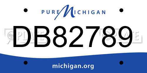 DB82789 Michigan License Plate