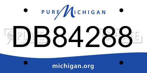 DB84288 Michigan License Plate