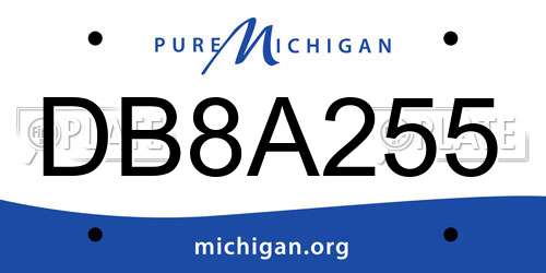 DB8A255 Michigan License Plate