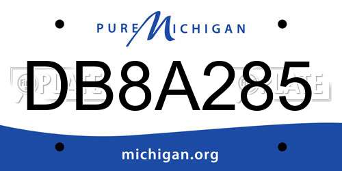 DB8A285 Michigan License Plate
