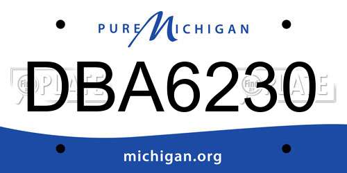 DBA6230 Michigan License Plate