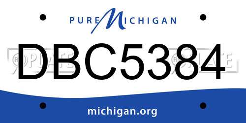 DBC5384 Michigan License Plate
