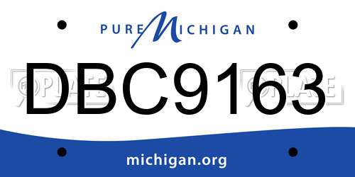DBC9163 Michigan License Plate