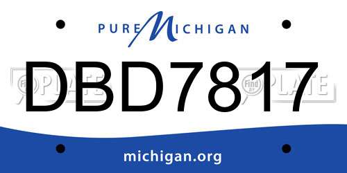 DBD7817 Michigan License Plate