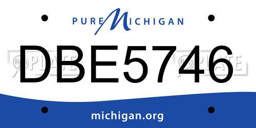 DBE5746 Michigan License Plate
