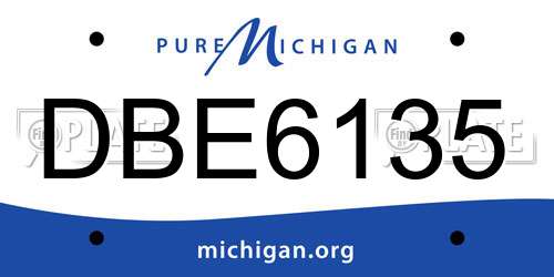 DBE6135 Michigan License Plate