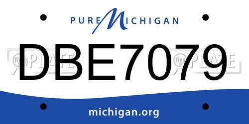 DBE7079 Michigan License Plate