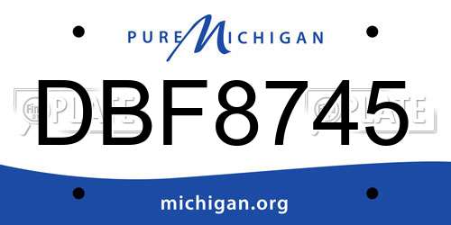 DBF8745 Michigan License Plate