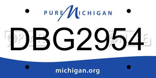 DBG2954 Michigan License Plate