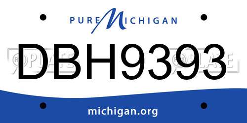 DBH9393 Michigan License Plate