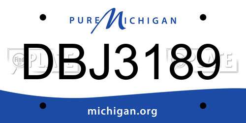 DBJ3189 Michigan License Plate