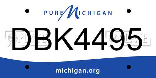 DBK4495 Michigan License Plate