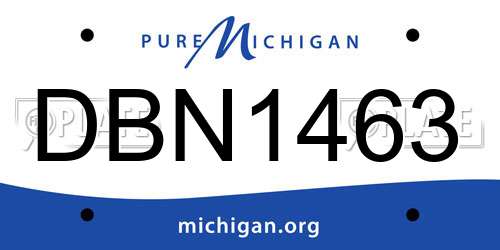 DBN1463 Michigan License Plate