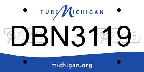 DBN3119 Michigan License Plate