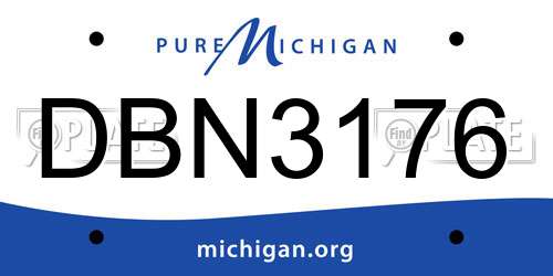 DBN3176 Michigan License Plate