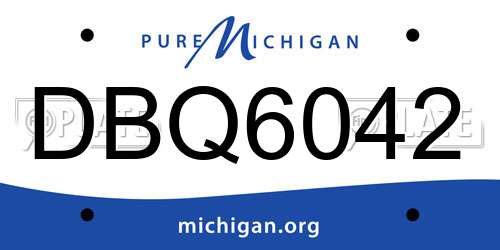 DBQ6042 Michigan License Plate