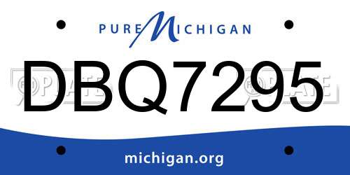 DBQ7295 Michigan License Plate