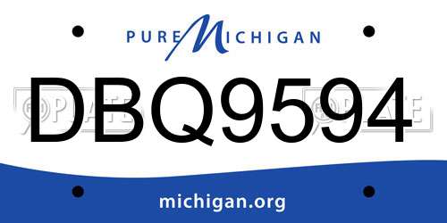 DBQ9594 Michigan License Plate