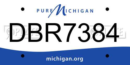 DBR7384 Michigan License Plate