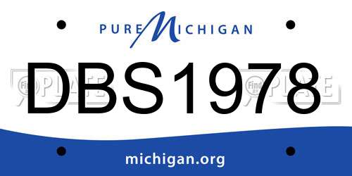 DBS1978 Michigan License Plate