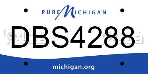 DBS4288 Michigan License Plate