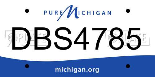 DBS4785 Michigan License Plate