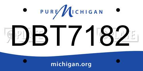 DBT7182 Michigan License Plate