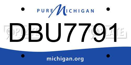 DBU7791 Michigan License Plate