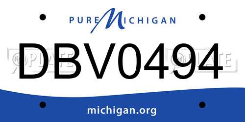 DBV0494 Michigan License Plate
