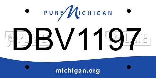 DBV1197 Michigan License Plate