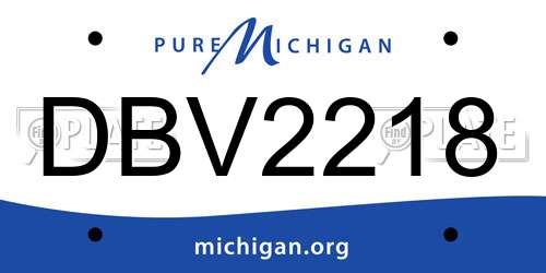 DBV2218 Michigan License Plate
