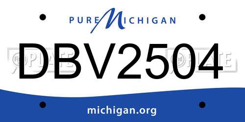 DBV2504 Michigan License Plate