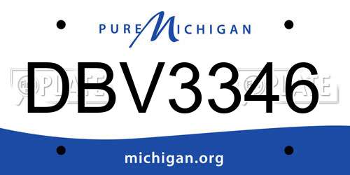 DBV3346 Michigan License Plate