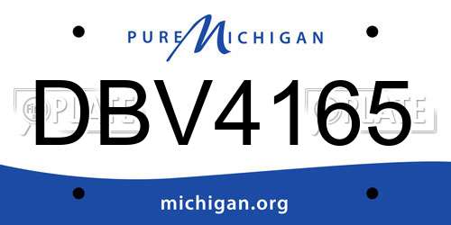 DBV4165 Michigan License Plate