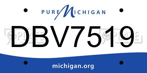 DBV7519 Michigan License Plate
