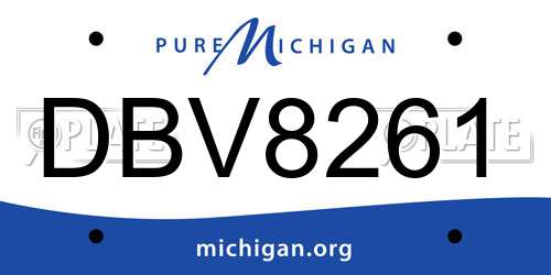 DBV8261 Michigan License Plate