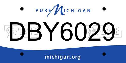 DBY6029 Michigan License Plate