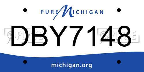DBY7148 Michigan License Plate