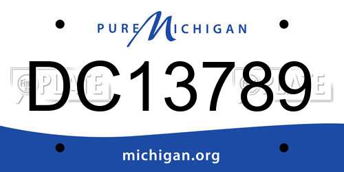 DC13789 Michigan License Plate