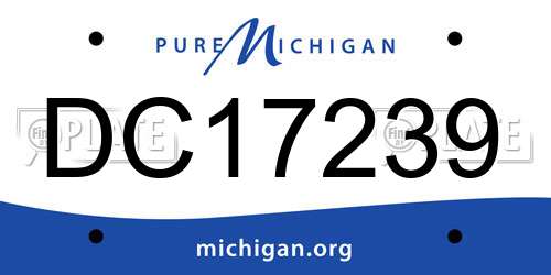 DC17239 Michigan License Plate