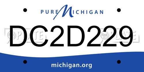 DC2D229 Michigan License Plate