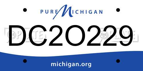DC2O229 Michigan License Plate