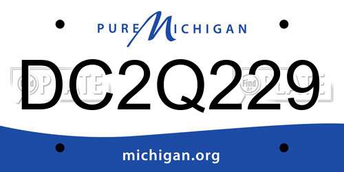 DC2Q229 Michigan License Plate