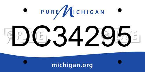 DC34295 Michigan License Plate