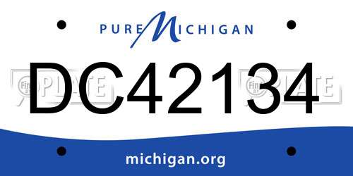 DC42134 Michigan License Plate