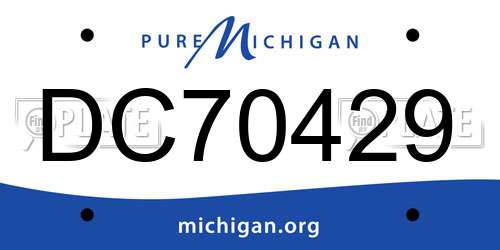 DC70429 Michigan License Plate