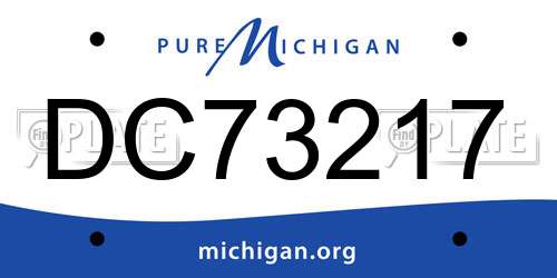 DC73217 Michigan License Plate